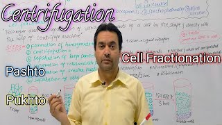 Centrifugation  Cell Fractionation  Biology  Class 11  Dr Mushtaq Pashto Lectures [upl. by Pfosi]