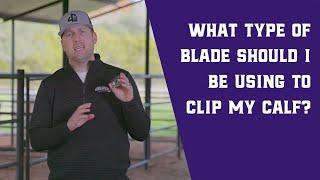 What Type of Blade Should I Use to Clip My Calf [upl. by Etakyram332]