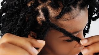 How To Do Kinky Twist Step By Step On Your Own Hair Tutorial Part 2 of 7 [upl. by Otho]