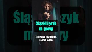 Śląski język migowy standup standupcomedy pawełkieler [upl. by Palladin]