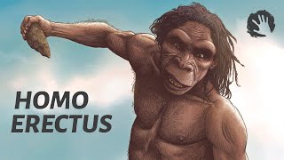 Homo Erectus  The First Humans [upl. by Naleek]