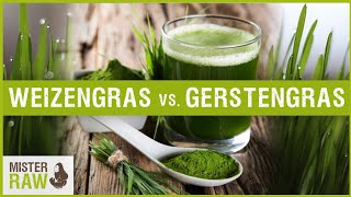 Weizengras vs Gerstengras  Welches der beiden Gräser ist besser und wo ist der Unterschied [upl. by Notsreik]