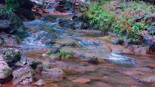 Quiet Bliss Relaxing Water Streams and Piano Harmony 1 [upl. by Saree436]