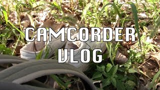 camcorder uni vlog 3 [upl. by Malchus]