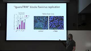 Ecology and Evolution Seminar The Impact of Infections on Evolution [upl. by Anihc]