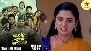 Paape Maa Jeevanajyothi  Promo  12th Nov 2024  Star Maa Serials  MonSat at 12 pm  Star Maa [upl. by Bonneau41]