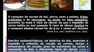 Um dos perigos do consumo de carnes fritas assadas e grelhadasmp4 [upl. by Annabella]