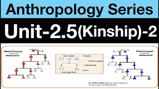 Unit25 Part 2  Filiation and Complementary Filiation  Anthropology  Task IAS [upl. by Doretta]