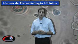 CURSO DE PARASITOLOGIA CLÍNICA [upl. by Nayve]