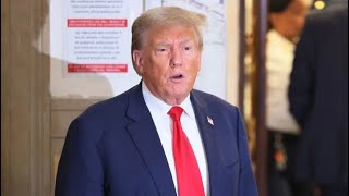 Trump goes FULL DESPERATION in panicked move in DC court [upl. by Artimid215]