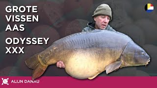 Alijn Danaus BIG FISH Bait Odyssey XXX CC Moore Belenux TV Carp Fishing [upl. by Piotr746]