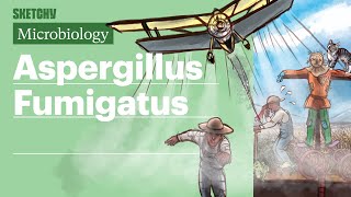 Aspergillus Fumigatus Microbiology  USMLE Step 1  Sketchy Medical [upl. by Noskcire]