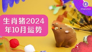 2024年10月属猪人运势 属猪2024年10月运程生肖猪 2024年运势 10月运势 属猪运势 [upl. by Kathleen]