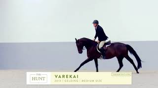 VAREKAI  Profile Video  The Hunt 2017 [upl. by Suirtemed450]