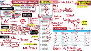 Hipoglicemia Policitemia Anemia Tuberculosis Perinatal y Mortalidad Neonatal  Neonatología 2019 [upl. by Wit735]