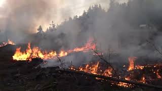 Großer Waldbrand im Landkreis Hof [upl. by Misty929]