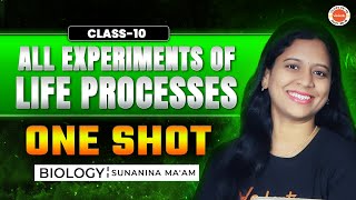 All Experiments of Life Processes  One Shot  SSC Class 10  CBSE  AP amp TS State Boards [upl. by Ntisuj58]