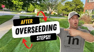 Follow THESE steps AFTER overseeding your lawn [upl. by Darcey]