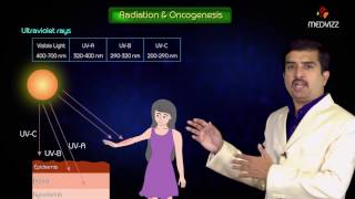 Chemical carcinogenesis and carcinogens  Usmle step 1 Pathology Neoplasia  Dr G Bhanu Prakash [upl. by Anilah]