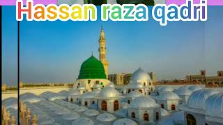 Dil Ne Pukara nabi nabi by Hassan raza qadri [upl. by Santos495]