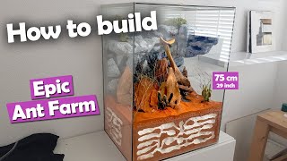 How to Build an EPIC Ant Farm  DIY Formicarium [upl. by Tannen91]