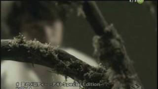 PV KOKIA  愛のメロディー アギト Special Edition [upl. by Ogawa]