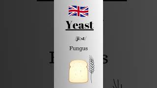 how to pronounce yeast correctlyBritish Accent englishpodcast learnenglish [upl. by Norrahc]