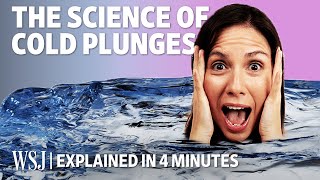 The Science Behind Cold Plunges Explained in Four Minutes [upl. by Rimat646]