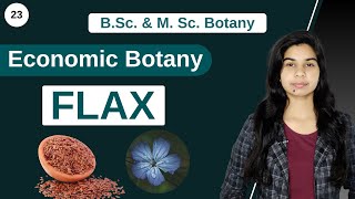 Economic Botany  FLAX  Linum usitatissimum  B Sc amp M Sc [upl. by Einehpets703]