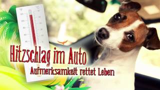 TATORT Parkplatz 35 °C im Auto  Lebenretten Kinder Hunde und Co [upl. by Roldan867]