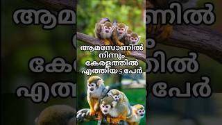 5 Exotic pets in Kerala from Amazon pets [upl. by Oile380]