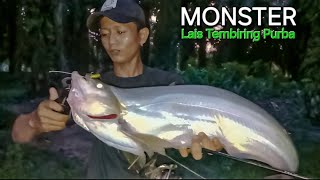 MONSTER IKAN PURBA LAIS TEMBIRING SUNGAI ROKAN  TRIBAR AK FISHING MASAK IKAN HASIL TANGKAPAN [upl. by Nylaf]