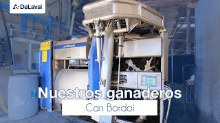 DeLaval  Nuestros ganaderos  Robot de ordeño  Can Bordoi [upl. by Zellner493]