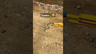 Ye snake 🐍 kaha se aa gaya shop par 🤯 shorts snake minivlog [upl. by Harp444]