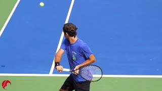 Roger Federer Backhand Slow Motion 2019  Court Level View Tennis One Handed Backhand Technique [upl. by Leta755]