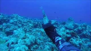 Spearfishing Guam New Beginnings [upl. by Essex958]