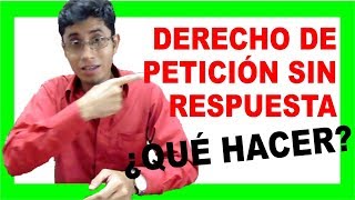 🔴 Derecho de petición sin respuesta  DERECHO COLOMBIANO [upl. by Rednaskela]