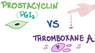 Prostacyclin PGI2 vs Thromboxane A2 TXA2  Bleeding vs Coagulation  Hematology [upl. by Akeinahs771]