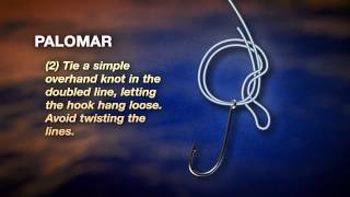 How To Tie A Palomar Knot by PENN [upl. by Josias678]