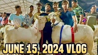 Deonar Bakra Mandi June 15 2024 Vlog  Salman Khan Ke Intezaar Mein Vyaapari [upl. by Nollie]