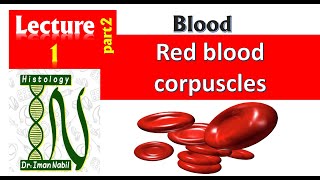 1bHistology of red blood corpuscles [upl. by Osana]