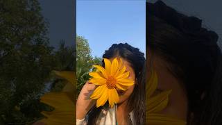 i was at picnic lel music cover song flowers nature aesthetic beautiful HAZELPOOKIES [upl. by Tobey]