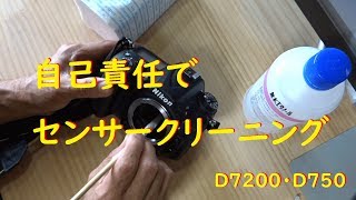 D7200 センサークリーニング【自己責任】Nikon 一眼レフ [upl. by Amahs828]