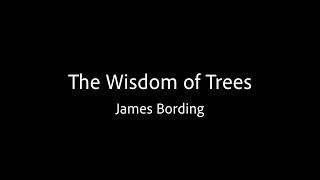 The Wisdom of Trees  James Bording [upl. by Michel808]