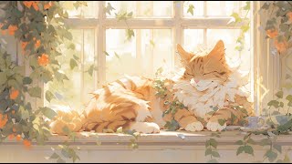 Lofi With My Cat  Cat amp Wonderful Day😽❣️☀️ WorkRelaxHealing  Lofi Mix  Lofi Songs [upl. by Haas253]