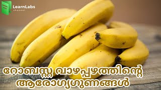 റോബസ്റ്റ വാഴപ്പഴത്തിൻ്റെ ആരോഗ്യഗുണങ്ങൾ  Health Benefits Of Robusta Banana Learnlabs Malayalam [upl. by Tymes]