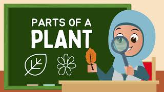 Parts of a Plant Kids Learning Knowledge of World funandlearn kidslearning [upl. by Chucho]