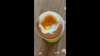 Soft boiled egg from room temperature 7 minutes in a halogen oven [upl. by Einneb]