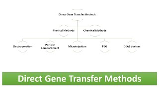 Direct Gene Transfer Methods Physical amp Chemical Methods  Advantages and Limitations [upl. by Katharina629]