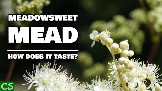 Meadowsweet Mead Tasting  Something Surprising Happened [upl. by Zildjian]